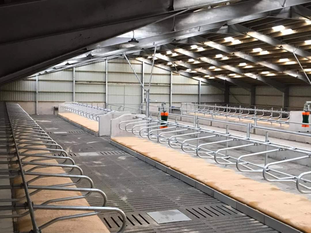 6 Cubicle beds and end walls